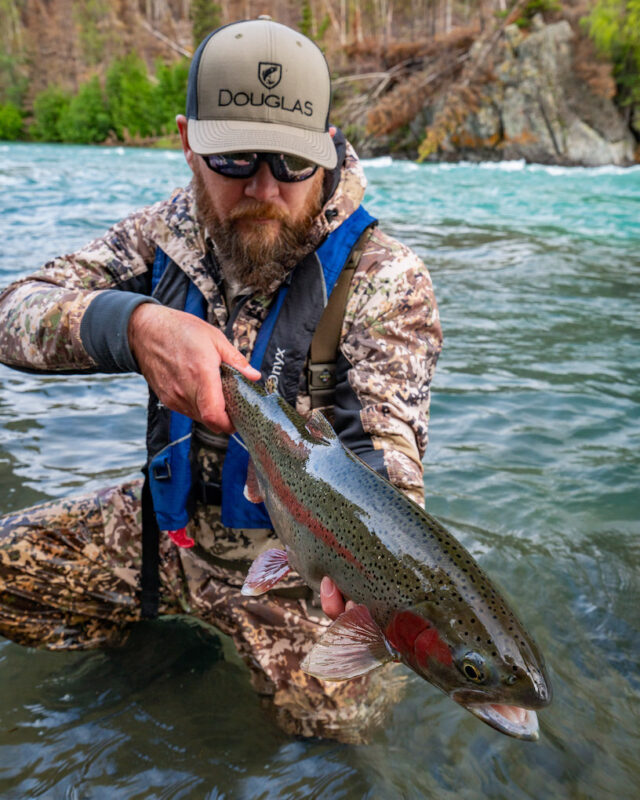 Rainbow Trout