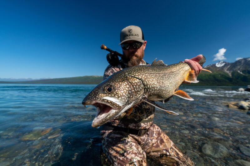 Lake Trout