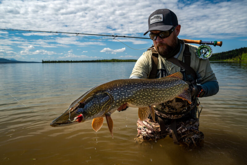 Pike on the fly
