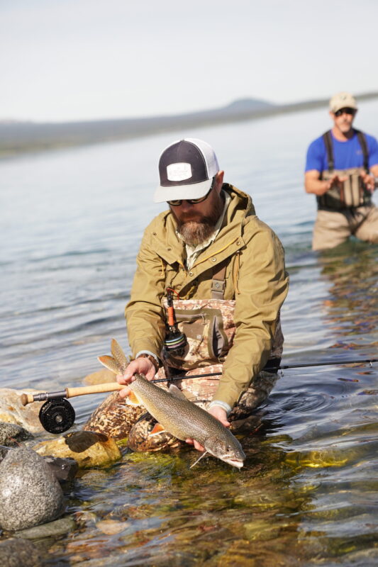 Lake Trout