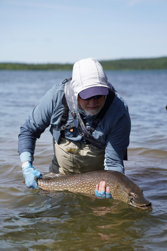 Pike on the fly