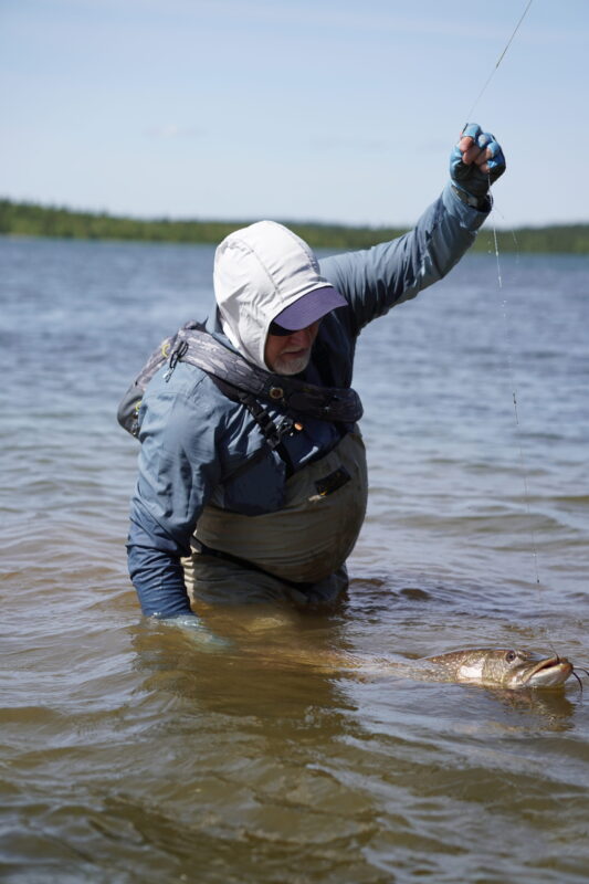 Northern Pike