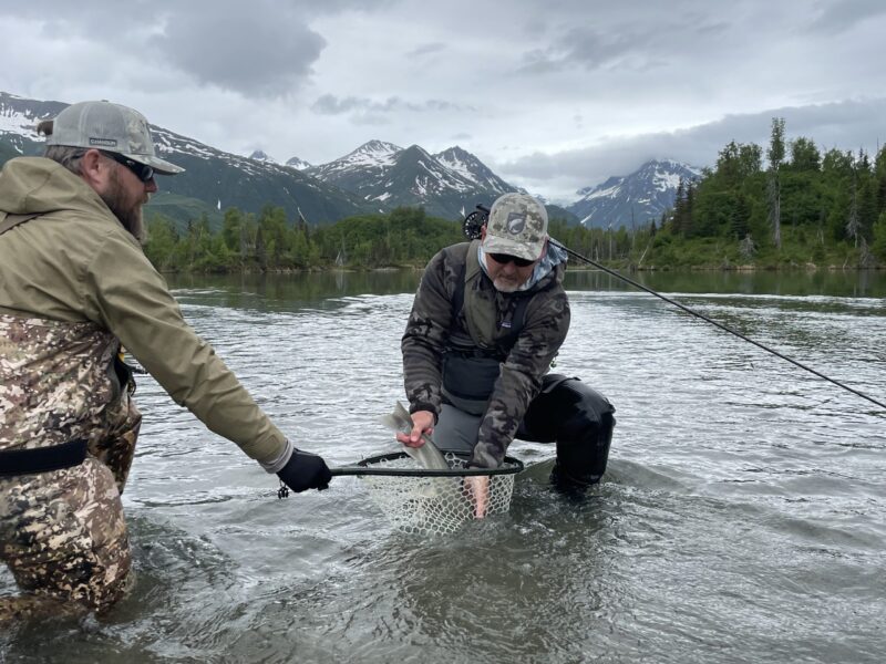 Dolly Varden Fly Fishing