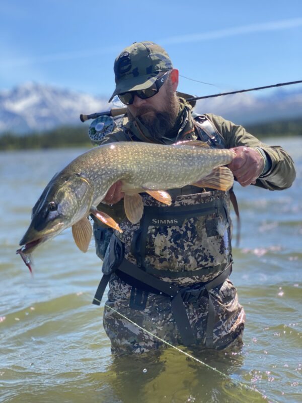 Pike on the fly