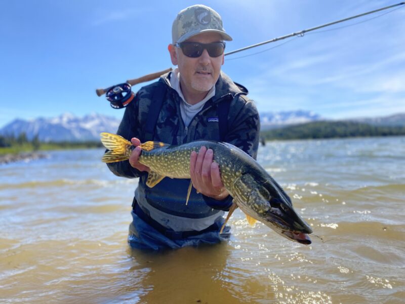 Pike Fly FIshing in Alaska